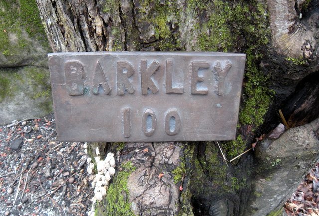 the-barkley-marathon-the-most-insanely-difficult-race-in-the-world
